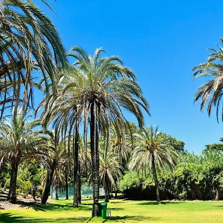 Aloha House With Bbq Near The In 公寓