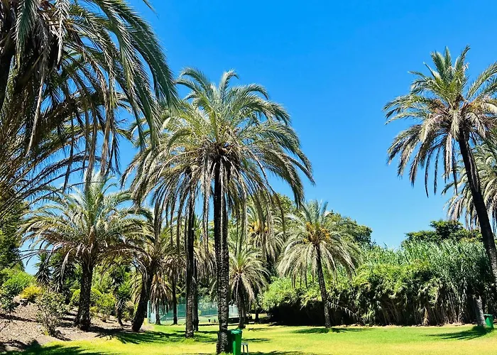 Aloha House With Bbq Near The In Apartment