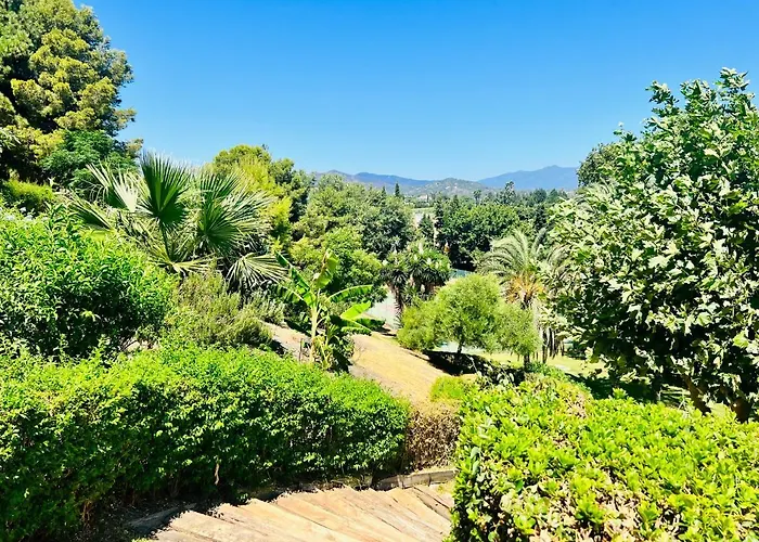 Aloha House With Bbq Near The In